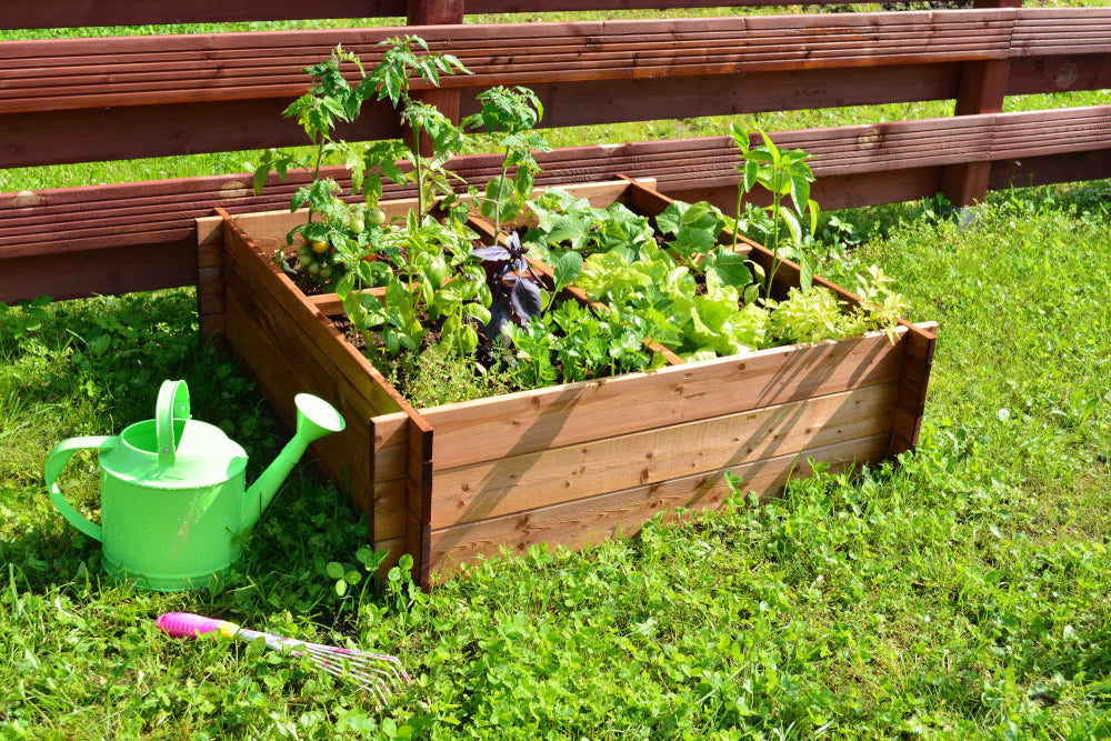 Vegetable beds